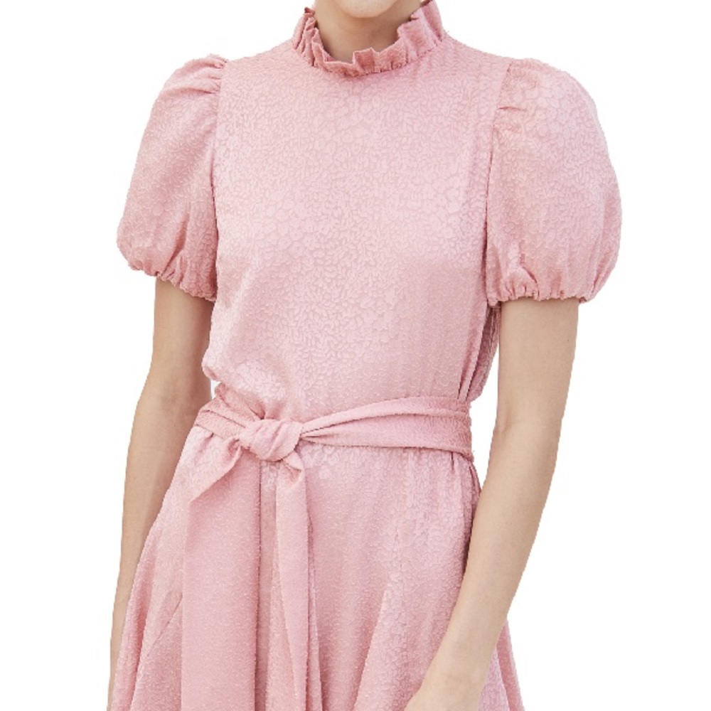 Alice + Olivia pink printed mini dress